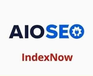 AIOSEO IndexNow Addon GPL v1.0.11