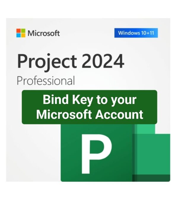 Project Professional 2024 Email Bind Lifetime License key